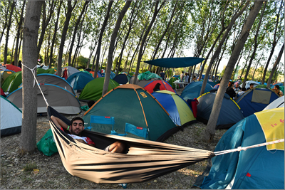 Bir orman gibi kardeşçesine