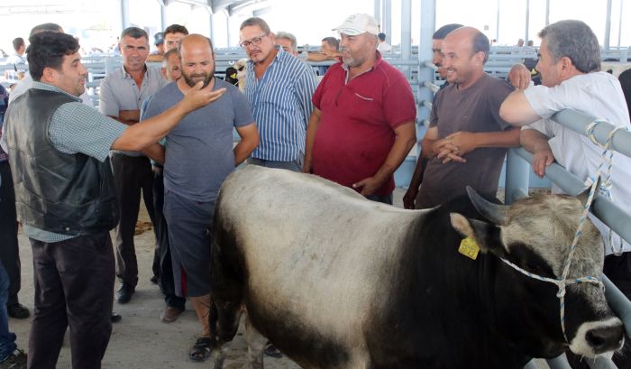 Manisa’dan Balıkesir’e