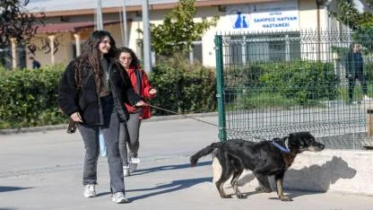 Çörekçi’nin Emanetlerine Büyükşehir Sahip Çıktı