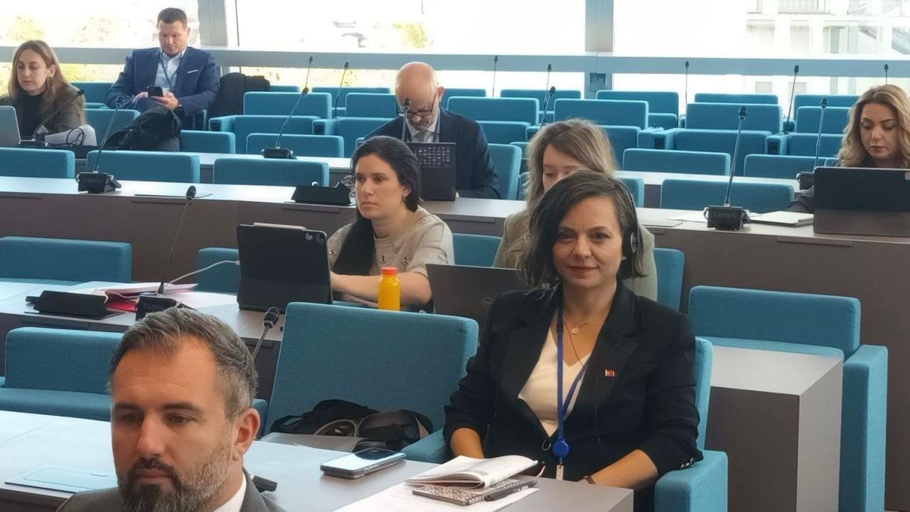 Demokrasi, yerel yönetimler ve iklim krizi masaya yatırıldı