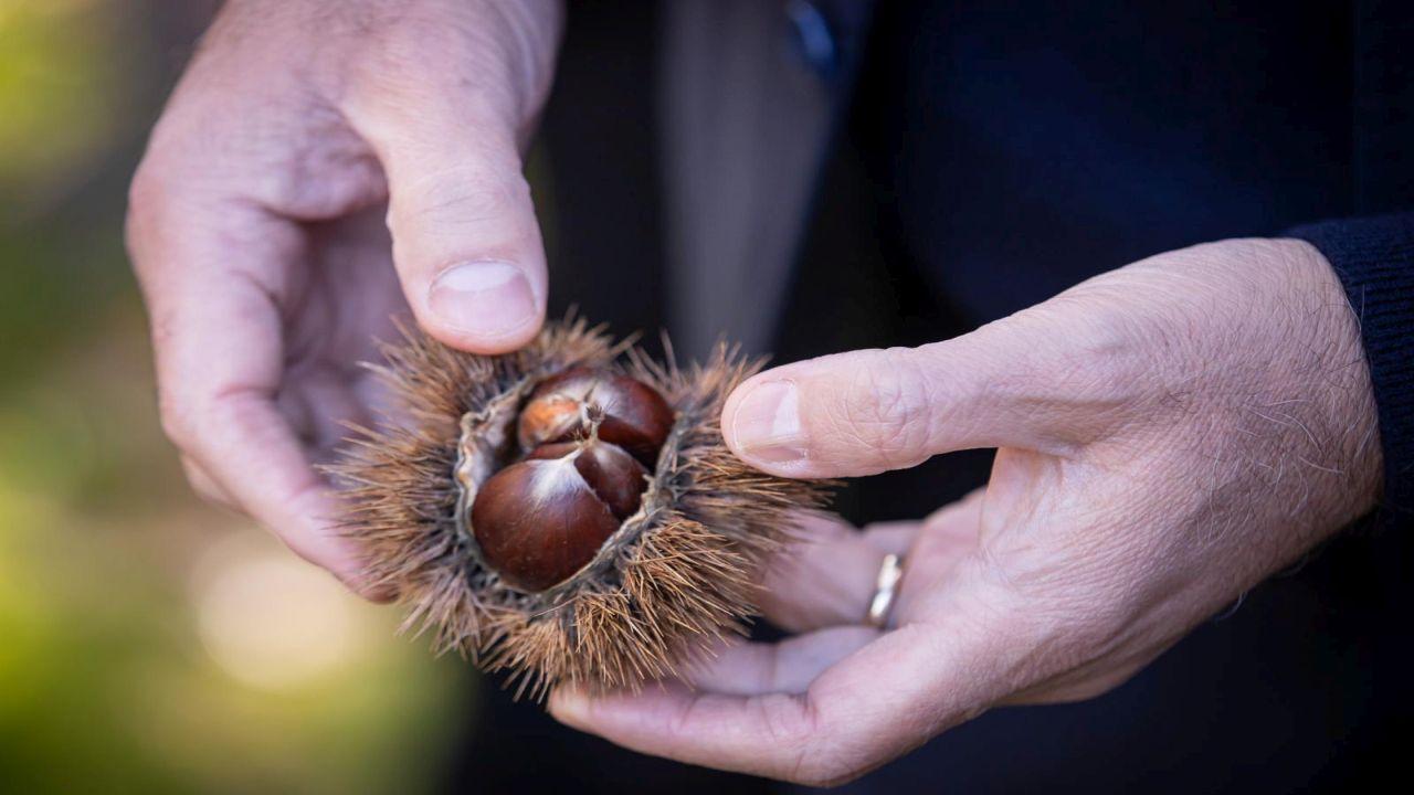 “Gözümüz gibi korumamız gerek”