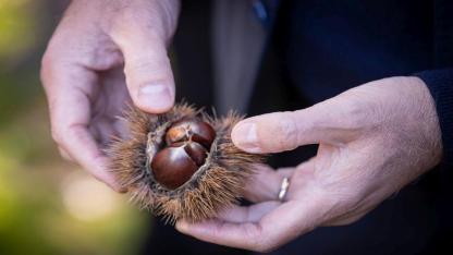 “Gözümüz gibi korumamız gerek”