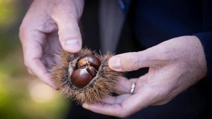 “Gözümüz gibi korumamız gerek”