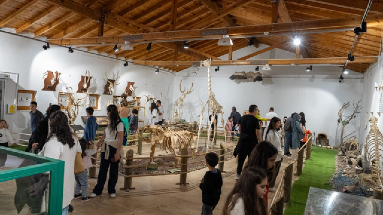 İzmir Doğal Yaşam Parkı’na ziyaretçi akını