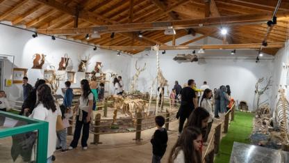 İzmir Doğal Yaşam Parkı’na ziyaretçi akını