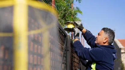 İzmir’de Karasinekle Yoğun Mücadele
