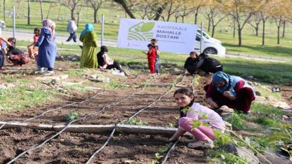 Mahalle bostanlarında kış dikimleri başladı
