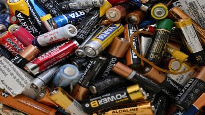 Manisa’da Atık Pil Getirene Zeytin Fidanı Hediye