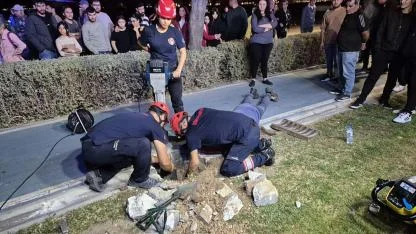 Mazgala düşen kayıp köpek ve kediler itfaiyenin çabasıyla kurtarıldı