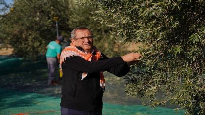 MESUT ERGİN: “DÜNYA ZEYTİN AĞACI GÜNÜ KUTLU OLSUN”