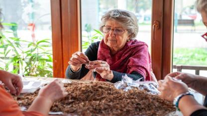 Karşıyaka’da yerel tohum bereketi
