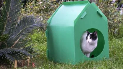 Başkan Tugay söz verdi, kediler sıcak yuvalarına kavuştu