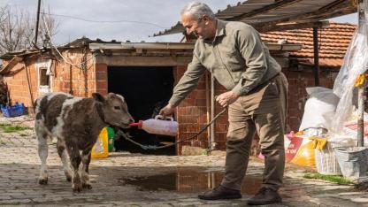 Büyükşehir şap hastalığına karşı harekete geçti