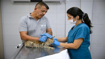 Eros Kedi Kliniği Bornova’da umut merkezi oldu