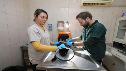 Gaziemir Belediyesi’nden can dostlara uzanan sevgi eli