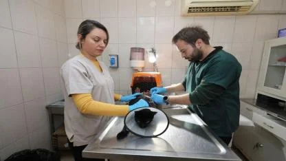 Gaziemir Belediyesi’nden can dostlara uzanan sevgi eli