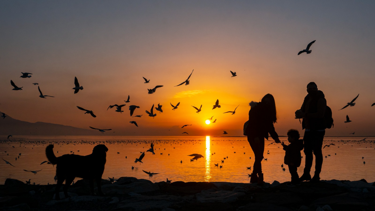 Karşıyaka’nın kardeş şehir bağları sanatla güçleniyor