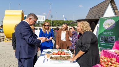 Menderes’te salep umudu