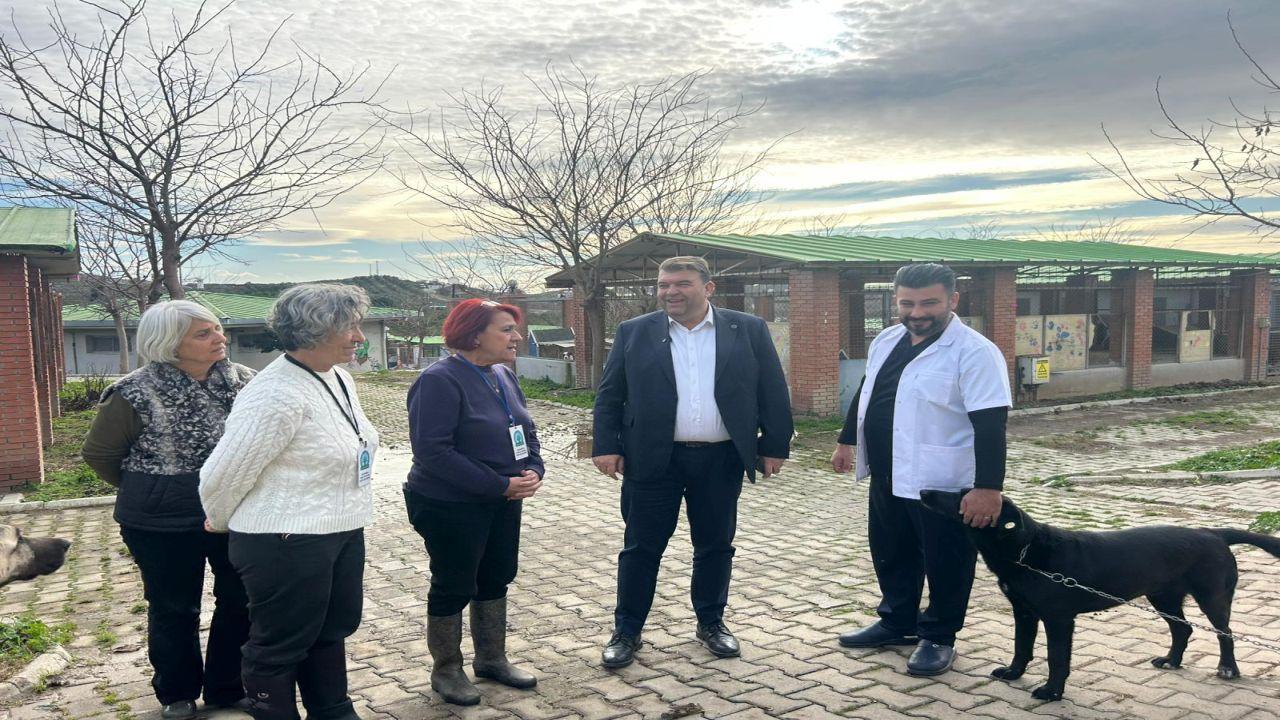 Seferihisar’da Sokak Hayvanları İçin Kulübe Destek Kampanyası