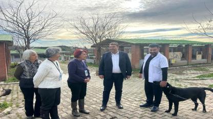 Seferihisar’da Sokak Hayvanları İçin Kulübe Destek Kampanyası