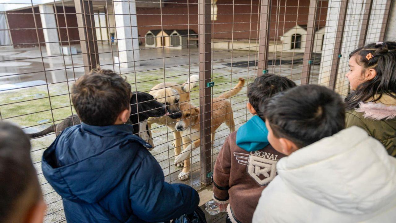 Tek Sağlık yaklaşımıyla İzmir’de hayvan refahı artıyor