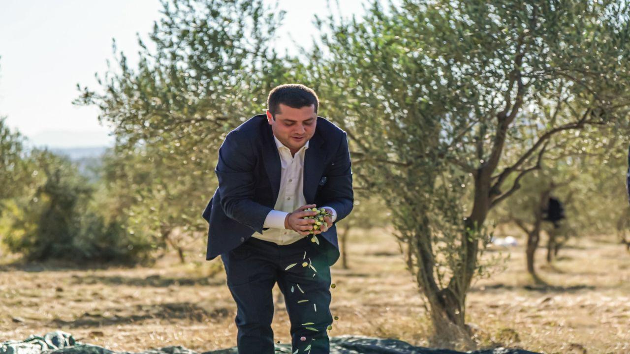 Torbalı'da Zeytin Hasadı Markaya Dönüştü: Metropolis