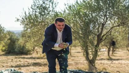 Torbalı'da Zeytin Hasadı Markaya Dönüştü: Metropolis