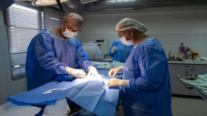 Ağır yaralı bulundu, sağlıklı şekilde doğaya salındı