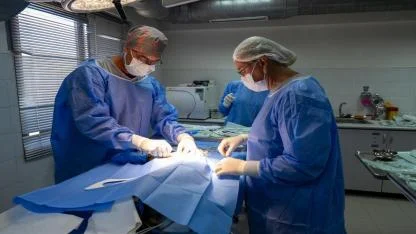 Ağır yaralı bulundu, sağlıklı şekilde doğaya salındı