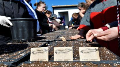 Bornova’da toprak kadınlarla canlanıyor