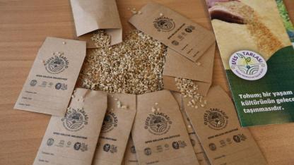 Efes Selçuk Yerel Tohumlarını Tüm Türkiye ile Paylaşıyor