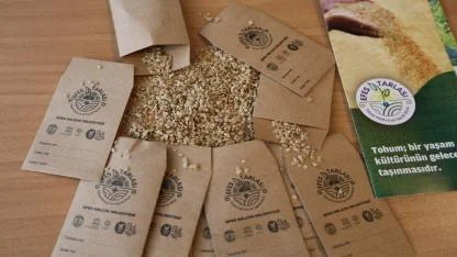 Efes Selçuk Yerel Tohumlarını Tüm Türkiye ile Paylaşıyor