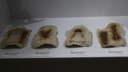 Dünyanın en küçük kitabı ve en hafif kâğıdı EÜ’de sergileniyor