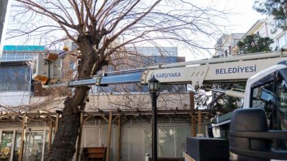 Karşıyaka’da budama seferberliği: Ağaçlar bahara hazırlanıyor