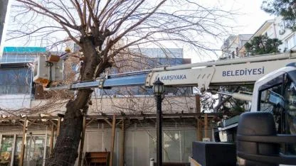 Karşıyaka’da budama seferberliği: Ağaçlar bahara hazırlanıyor