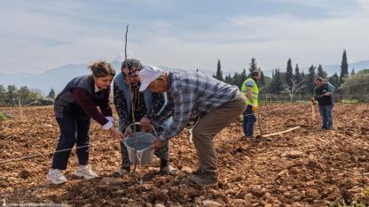 Kesilen cevizlerin yerine umut filizlendi