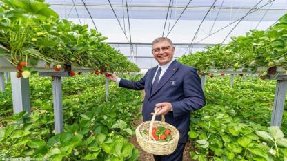 Köylüye can suyu: Destek 1,4 milyara çıktı