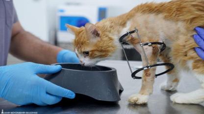 On binlerce cana dokunan seferberlik