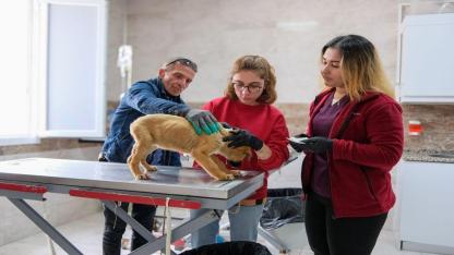 Can dostlar için Menemen'de rekor tedavi sayısına ulaşıldı