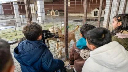 Doğa ve patili dostlar şifa dağıtıyor