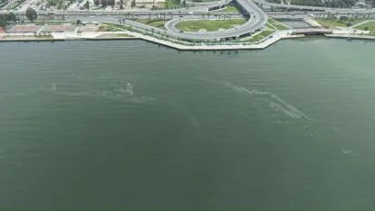 İzmir Körfezi’nde 10. kez dış kaynaklı kirlilik tespit edildi