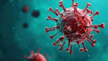 Atlantik Okyanusu'nda Hantavirüs Krizi: Yolcu Gemisinde 3 Kişi Hayatını Kaybetti
