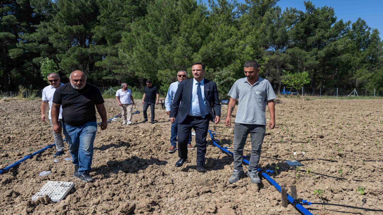 Bornova’da atıl topraklar hayat buluyor