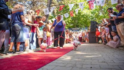 Torbalı'da Patili Dostlar İçin Unutulmaz Festival